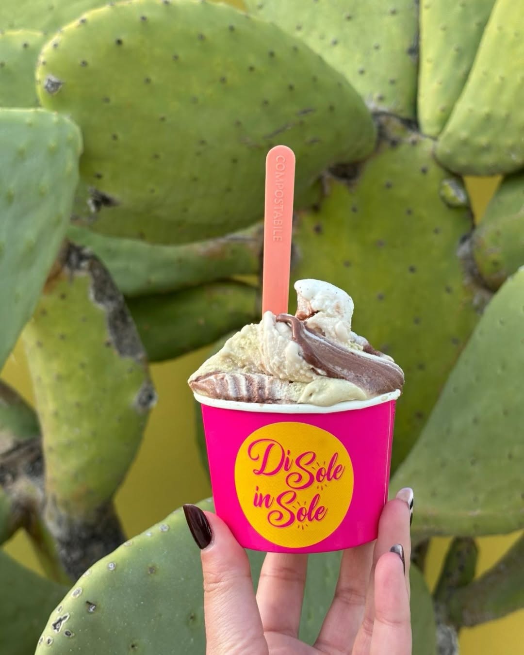 Gelato artigianale Di Sole in Sole
